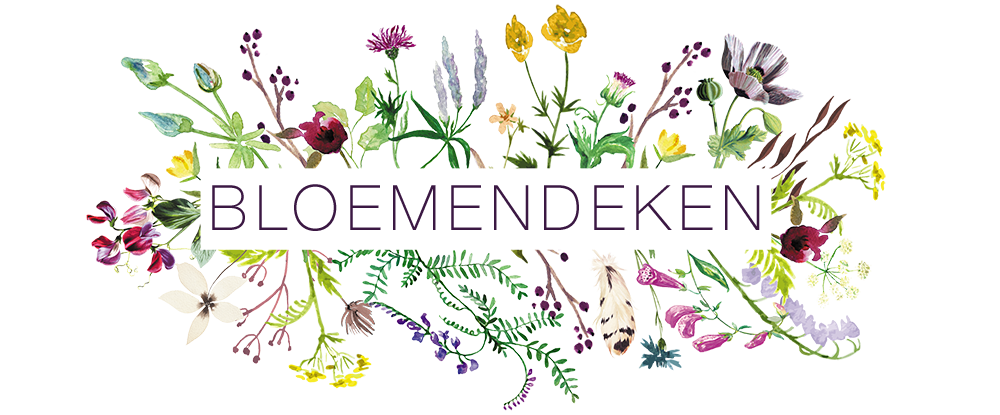 Annie Steengracht, Anna steengracht, bloemendeken, de bloemendeken, bloemen, floral
